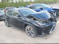 JTHP9JBH6M2043697 2021 LEXUS UX