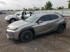 JTHP9JBH9M2044228 2021 LEXUS UX