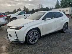 JTHP9JBH9R2080556 2024 LEXUS UX