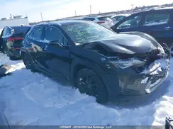 JTHP9JBHXL2026027 2020 LEXUS UX