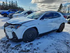 JTHR9JBH2P2066617 2023 LEXUS UX