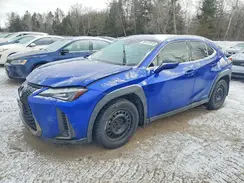 JTHR9JBH3L2030624 2020 LEXUS UX