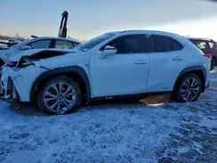 JTHR9JBH5M2037947 2021 LEXUS UX