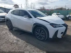 JTHR9JBH6L2027023 2020 LEXUS UX