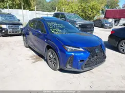 JTHR9JBH6R2076182 2024 LEXUS UX