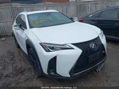 JTHR9JBH8L2021594 2020 LEXUS UX