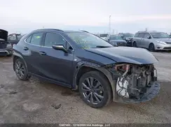 JTHR9JBH8R2076023 2024 LEXUS UX