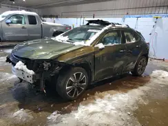 JTHU9JBH1K2013166 2019 LEXUS UX