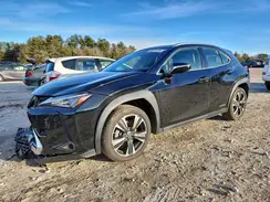 JTHU9JBH3K2013265 2019 LEXUS UX