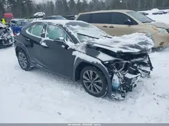 JTHU9JBH4K2018281 2019 LEXUS UX