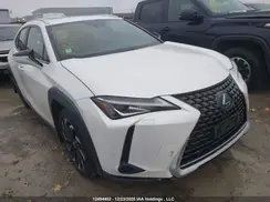 JTHU9JBH5K2015454 2019 LEXUS UX