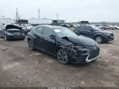 JTHU9JBH5K2019066 2019 LEXUS UX