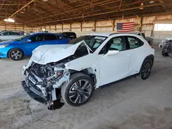 JTHU9JBH6K2018573 2019 LEXUS UX