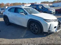 JTHU9JBH8K2004190 2019 LEXUS UX
