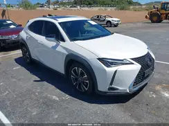 JTHU9JBH9K2016512 2019 LEXUS UX