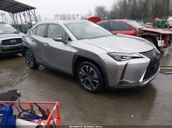 JTHU9JBH9K2016719 2019 LEXUS UX
