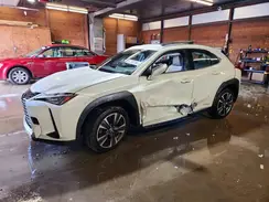 JTHU9JBHXK2003591 2019 LEXUS UX