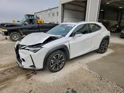 JTHU9JBHXK2007382 2019 LEXUS UX
