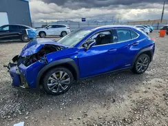 JTHU9JBHXK2015482 2019 LEXUS UX