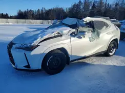 JTHUCJDH0S2008636 2025 LEXUS UX