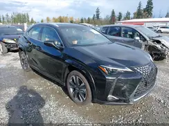 JTHUCJDH1S2011481 2025 LEXUS UX