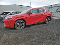 JTHUCJDH5S2010303 2025 LEXUS UX