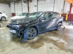 JTHUCJDH9S2012183 2025 LEXUS UX