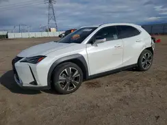 JTHX3JBH0M2038397 2021 LEXUS UX