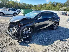 JTHX6JBH6R2193096 2024 LEXUS UX