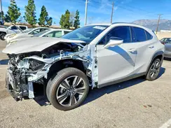 JTHX6JBH9P2132340 2023 LEXUS UX
