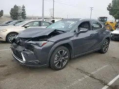 JTHX6JBHXP2146392 2023 LEXUS UX