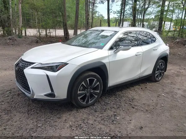 JTHX6JBHXP2153844 2023 LEXUS UX - Image 2