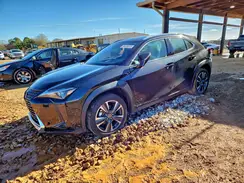 JTHX6JBHXR2193117 2024 LEXUS UX