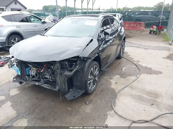 JTHX9JBH1R2074296 2024 LEXUS UX - Image 2