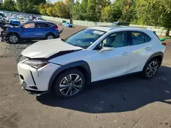 JTHY3JBH5K2001430 2019 LEXUS UX