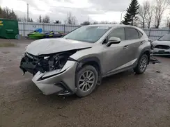 JTJAARDZ1L5009812 2020 LEXUS NX