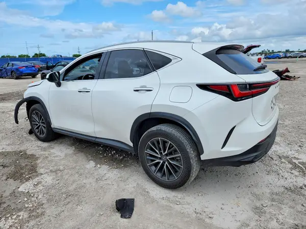 JTJADCAZ0P2006951 2023 LEXUS NX - Image 2