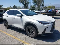 JTJADCAZ0P2007503 2023 LEXUS NX