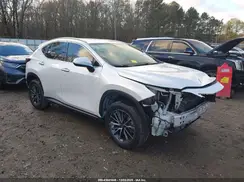 JTJADCAZ1P2006666 2023 LEXUS NX