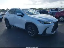 JTJADCAZ1P5010540 2023 LEXUS NX