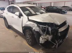 JTJADCAZ1R2008646 2024 LEXUS NX