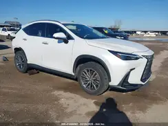 JTJADCAZ1R5013683 2024 LEXUS NX