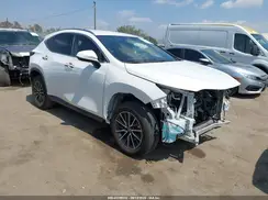 JTJADCAZ2P5011986 2023 LEXUS NX