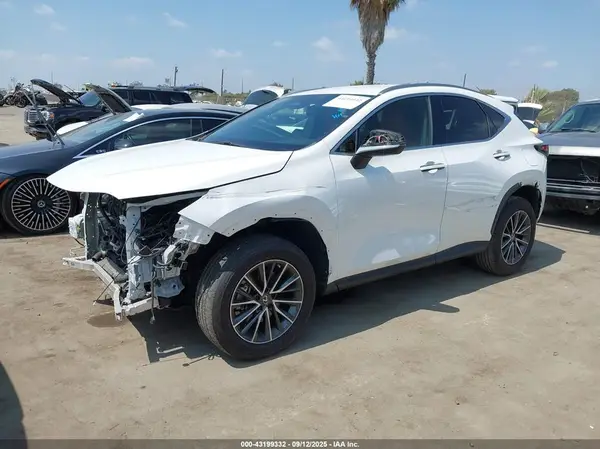 JTJADCAZ2P5011986 2023 LEXUS NX - Image 2