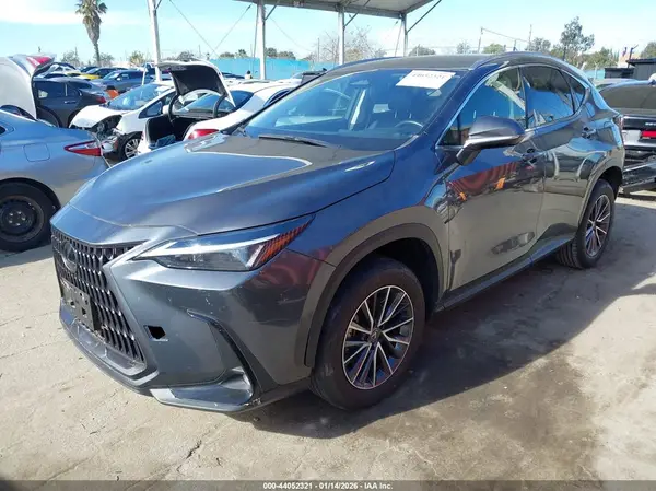 JTJADCAZ2R5013739 2024 LEXUS NX - Image 2