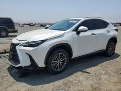 JTJADCAZ3R2013850 2024 LEXUS NX