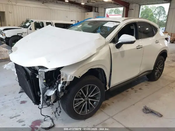 JTJADCAZ4P2006757 2023 LEXUS NX - Image 2
