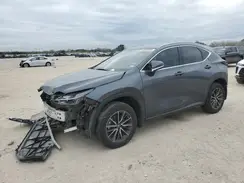 JTJADCAZ4P5010077 2023 LEXUS NX