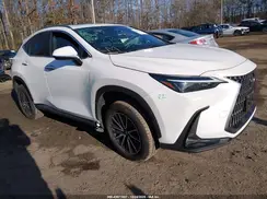 JTJADCAZ4R2008446 2024 LEXUS NX