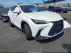 JTJADCAZ4R2011735 2024 LEXUS NX